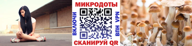 Галлюциногенные грибы мицелий  Волжский 